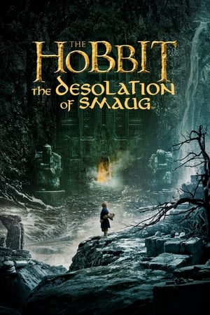 The Hobbit- The Desolation of Smaug (2013)