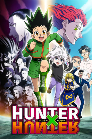 Hunter X Hunter Series (2011)