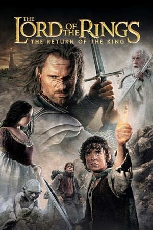 The Lord of the Rings- The Return of the King (2003)