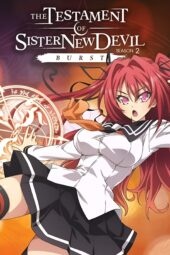 The Testament of Sister New Devil Burst (2015)
