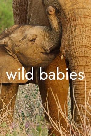 Wild Babies Season 1 (2022)