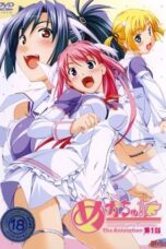 iP8Mq4Ed02Uy4o9Hf2KgBduHB2d