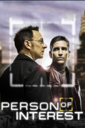 Person of Interest Season 2 (2012)