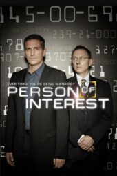 Person of Interest Season 3 (2013)