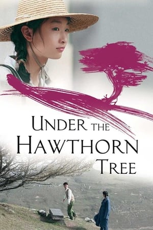 Under the Hawthorn Tree (Shan zha shu zhi lian) (2010)