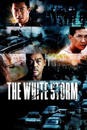 The White Storm (Sao du) (2013)