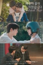 y45X74jF2Pchc1OOhj13KMQkecJ-152x228-1